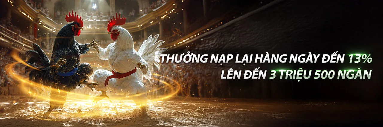Đá gà 888 – Sân đấu gà chuyên nghiệp